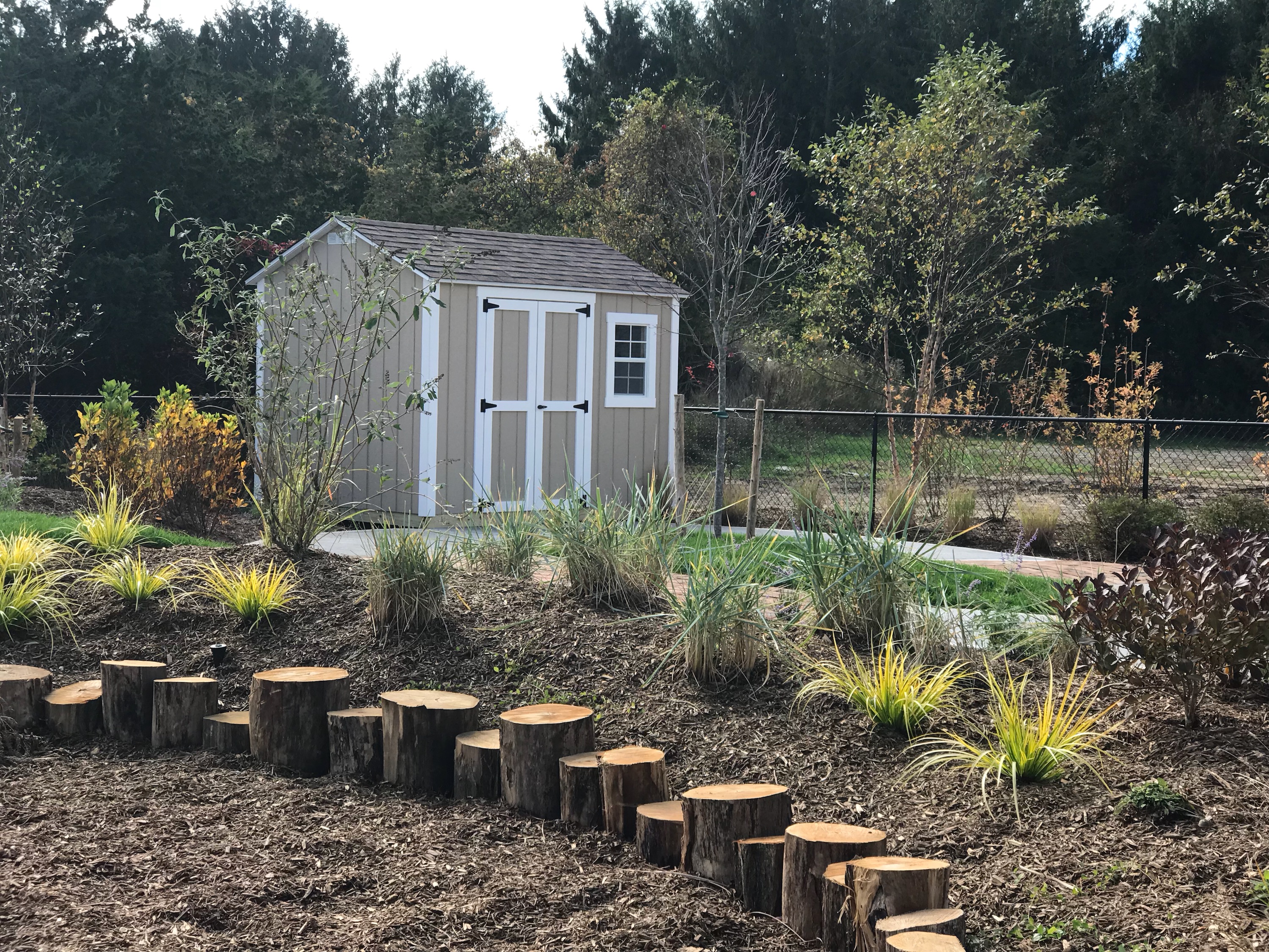 shed-image