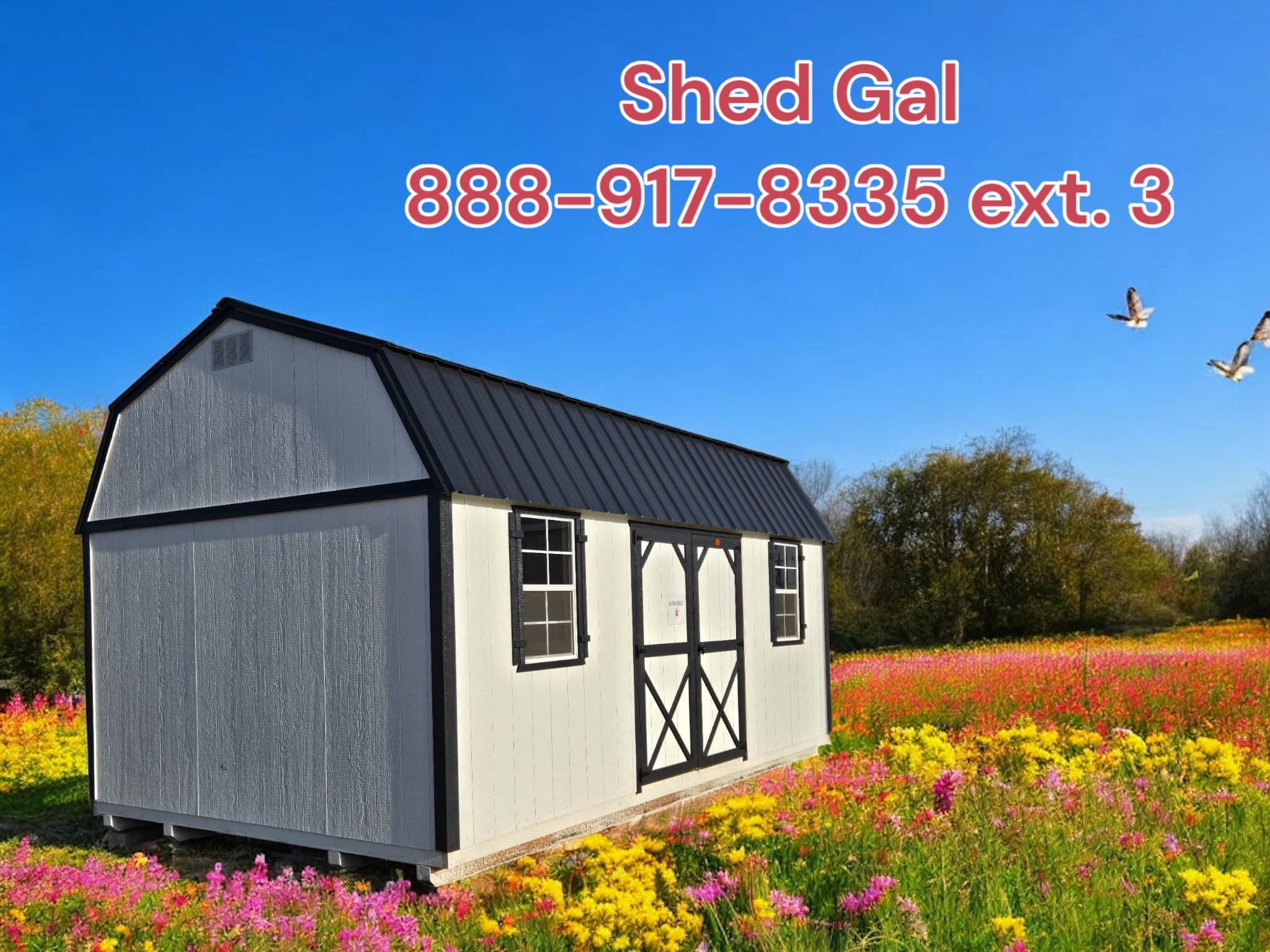 shed-image